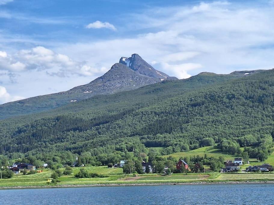 Privat Leilighet Pa Gard Med Badstue Og Nordlys Narvik Exterior foto